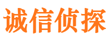 平桥诚信私家侦探公司